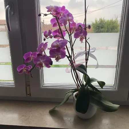 Appartameto Casa Summano Santorso